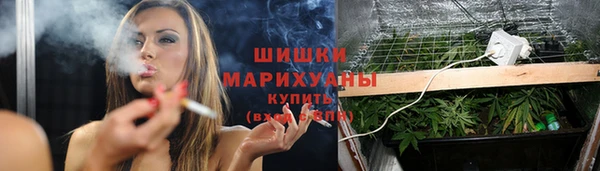 а пвп мука Богданович