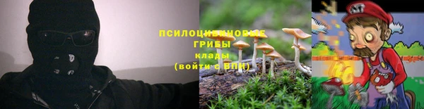 дурь Богородицк