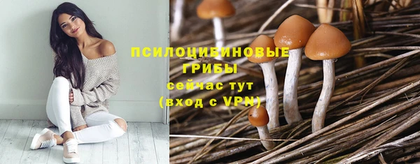 а пвп мука Богданович