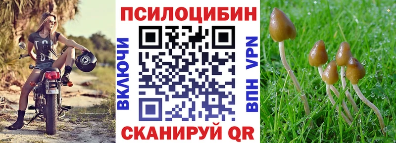 Галлюциногенные грибы MAGIC MUSHROOMS  Купить  Староминская 